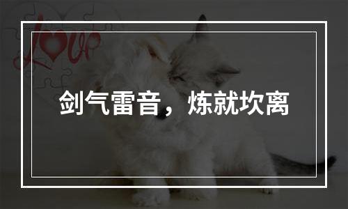 剑气雷音，炼就坎离