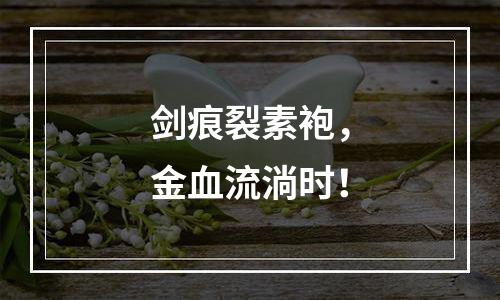 剑痕裂素袍，金血流淌时！
