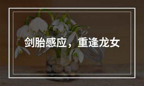 剑胎感应，重逢龙女