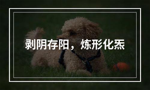 剥阴存阳，炼形化炁