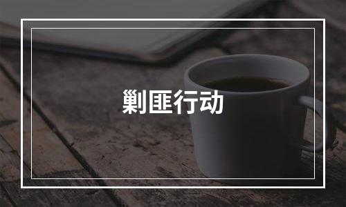 剿匪行动