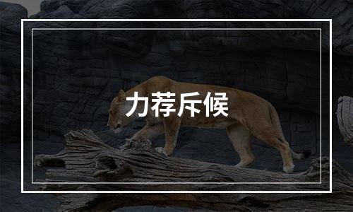 力荐斥候