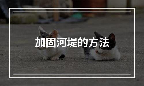 加固河堤的方法