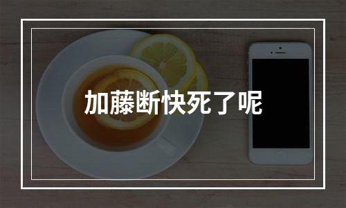 加藤断快死了呢
