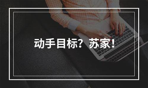 动手目标？苏家！