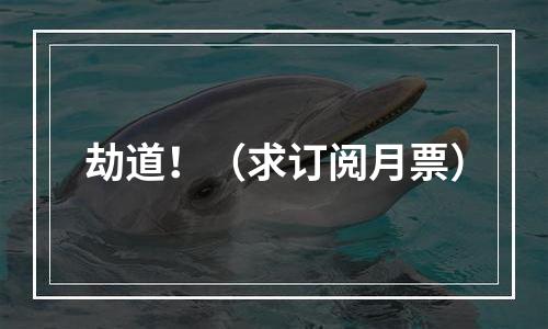 劫道！（求订阅月票）