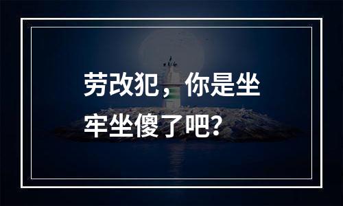 劳改犯，你是坐牢坐傻了吧？