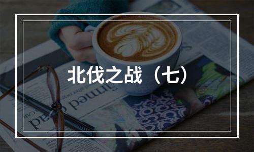 北伐之战（七）