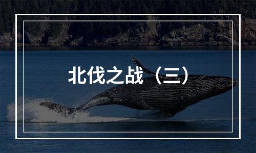 北伐之战（三）