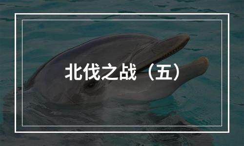北伐之战（五）