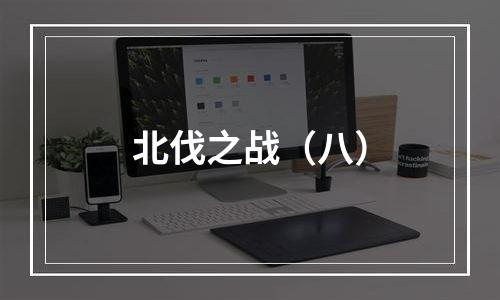 北伐之战（八）