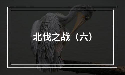 北伐之战（六）