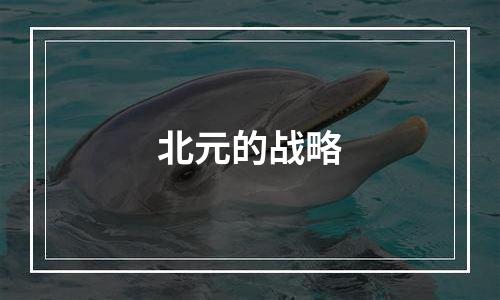 北元的战略