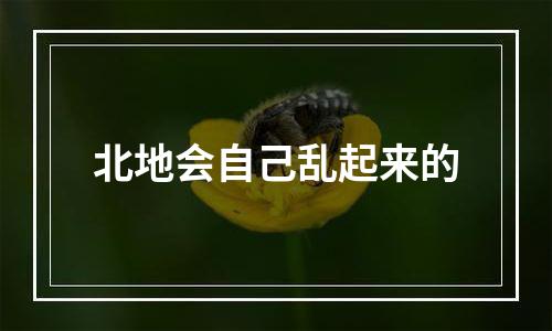 北地会自己乱起来的