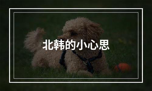 北韩的小心思