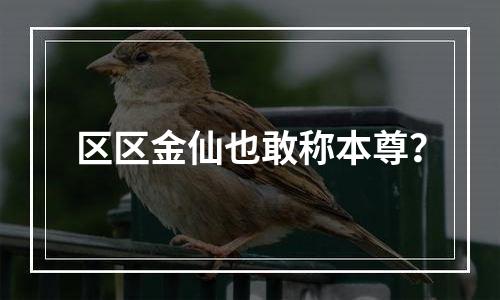 区区金仙也敢称本尊？