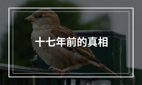 十七年前的真相