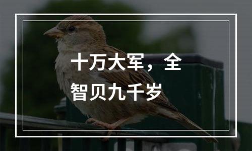 十万大军，全智贝九千岁