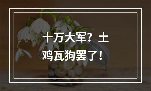 十万大军？土鸡瓦狗罢了！