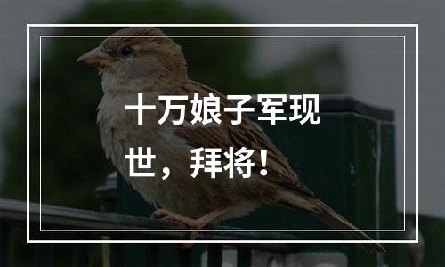十万娘子军现世，拜将！