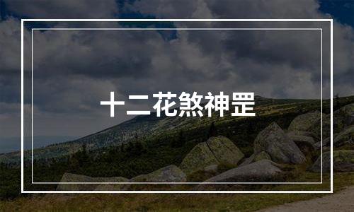 十二花煞神罡