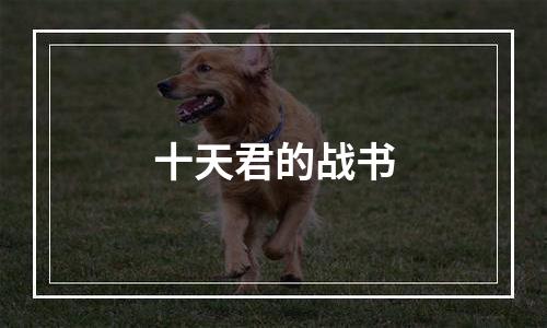 十天君的战书