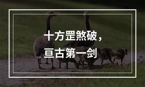 十方罡煞破，亘古第一剑