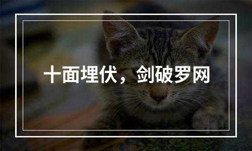 十面埋伏，剑破罗网