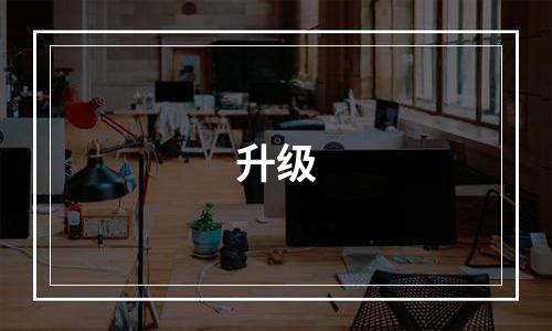 升级