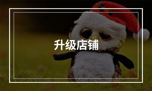 升级店铺