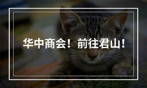 华中商会！前往君山！
