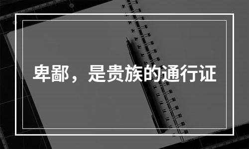 卑鄙，是贵族的通行证