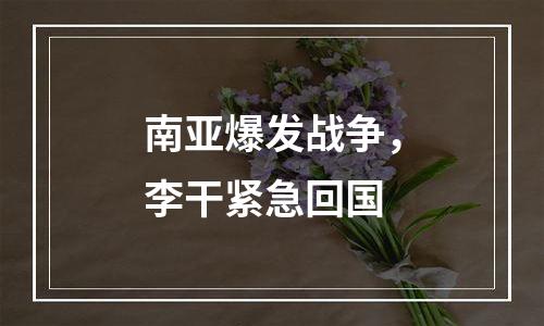 南亚爆发战争，李干紧急回国