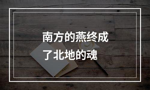 南方的燕终成了北地的魂