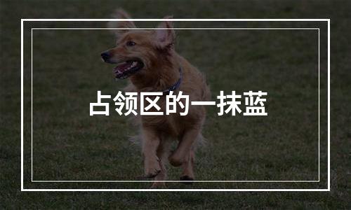 占领区的一抹蓝
