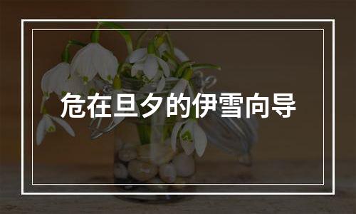 危在旦夕的伊雪向导
