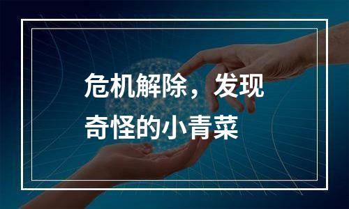 危机解除，发现奇怪的小青菜