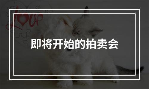 即将开始的拍卖会