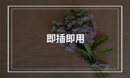 即插即用