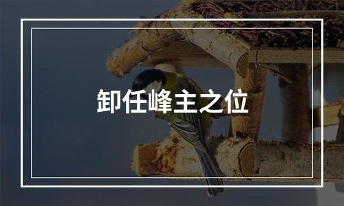 卸任峰主之位