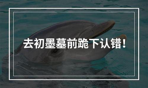 去初墨墓前跪下认错！