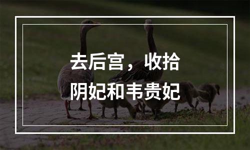 去后宫，收拾阴妃和韦贵妃