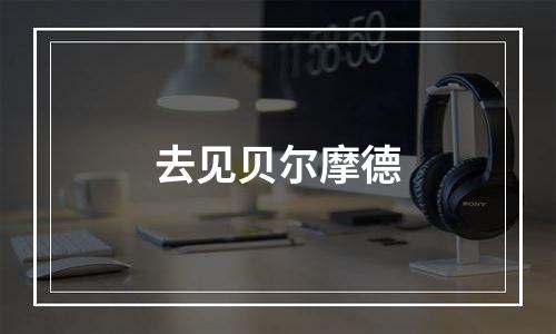 去见贝尔摩德