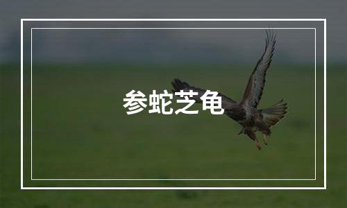 参蛇芝龟