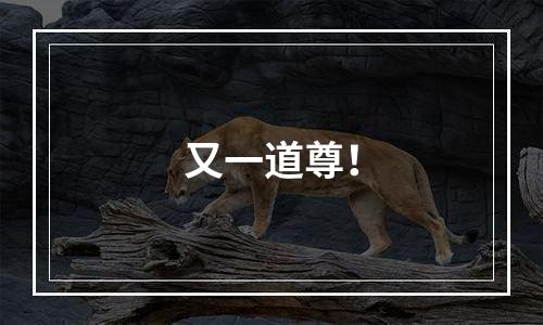 又一道尊！