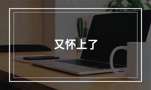 又怀上了