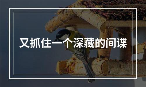 又抓住一个深藏的间谍