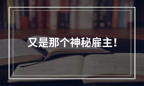 又是那个神秘雇主！