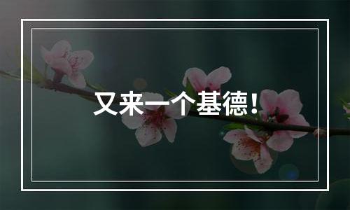又来一个基德！