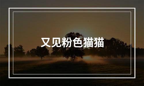 又见粉色猫猫